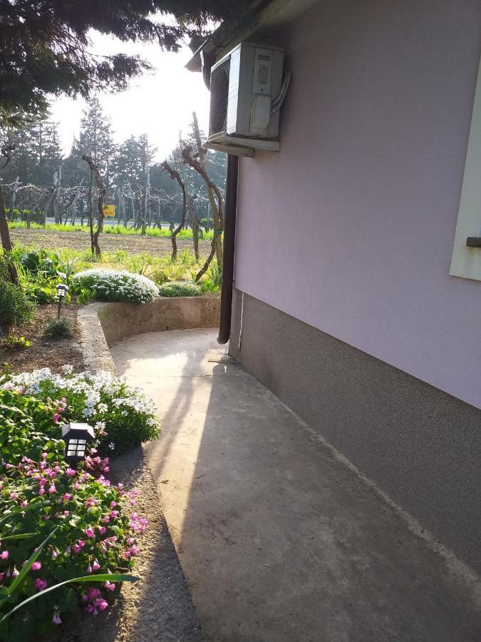 Istra Koper Exterior foto
